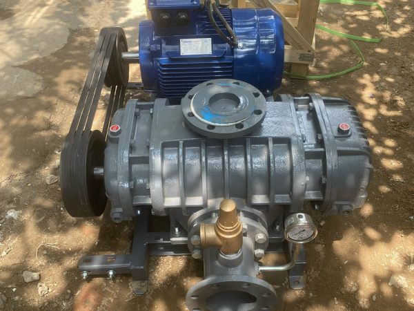 Máy thổi khí Longtech - Hình ảnh 3